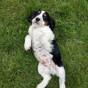 Meet your Posher, Talea